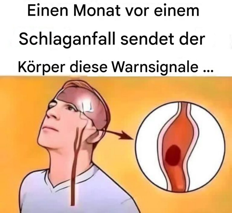 181759454 1165921447179827 8575539360178038315 N