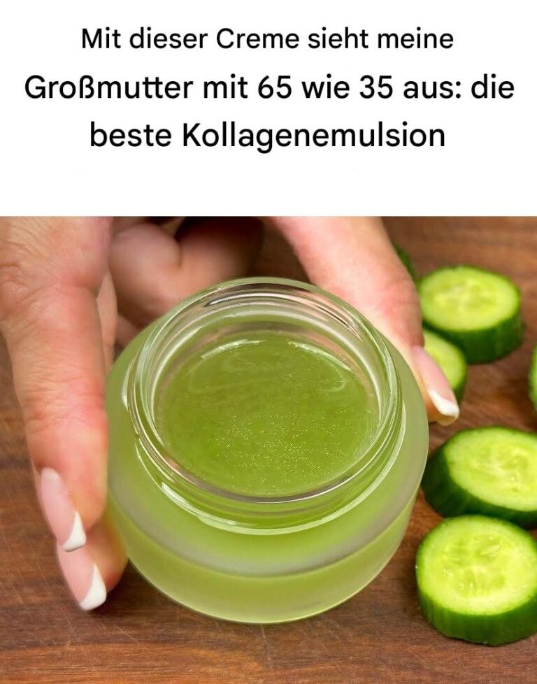 499373746 122191753658093586 817458472509040362 N