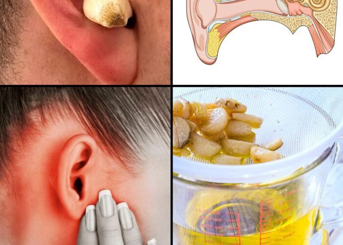 499373746 122191753658093586 817458472509040362 N