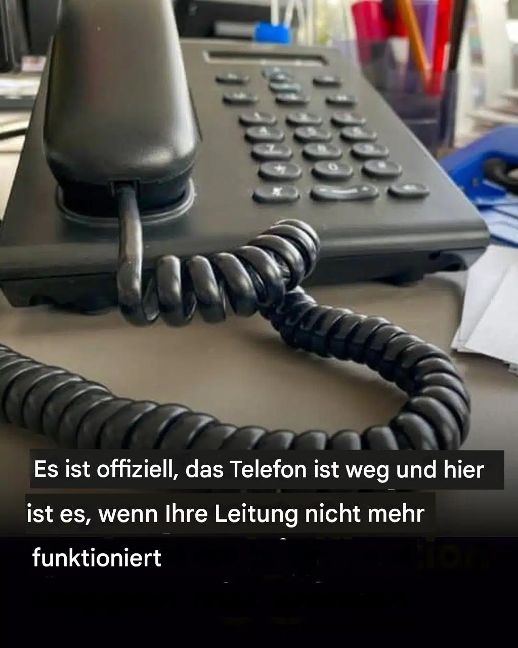 499373746 122191753658093586 817458472509040362 N