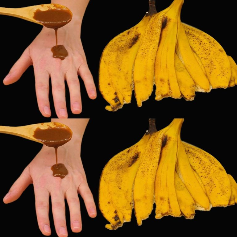 499373746 122191753658093586 817458472509040362 N