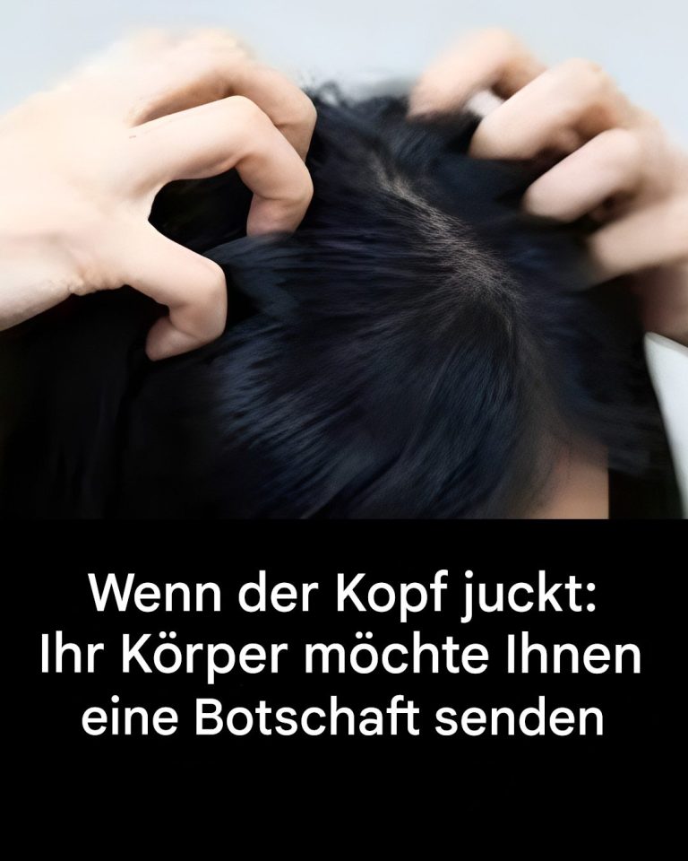 506475846 1276080433910653 8100570807415422769 N