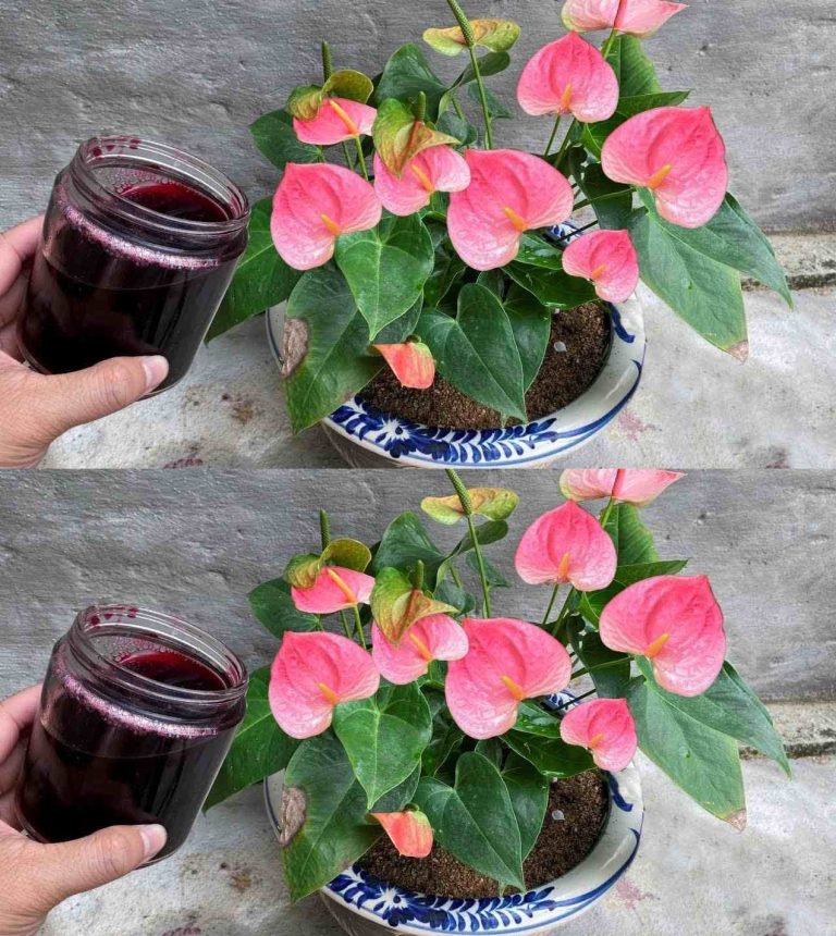 Screenshot 2024 08 02 23 02 13 803 Com.miui .notes Edit 27 1 1 1 1 1 1 1 1 1 1 1 1 1 2 1 1 1 1 1 1 1 1 1 1 1 2 1 1 2 1 1 1 1 1 1 2 1 1 3 1 768x768